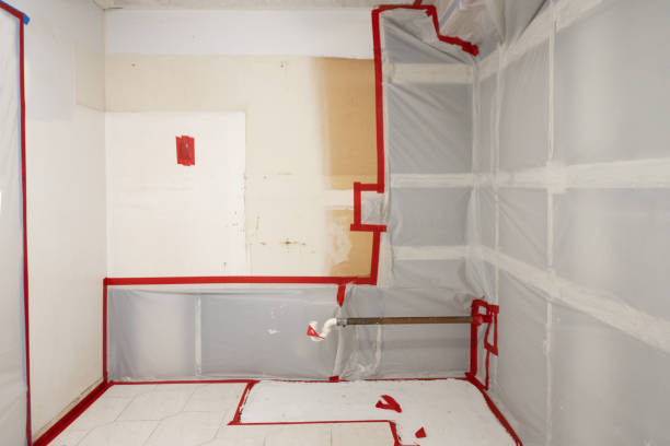 Best Airborne Mold Testing  in Highland Heights, KY